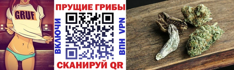 Псилоцибиновые грибы GOLDEN TEACHER  Горняк 